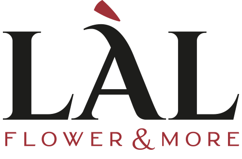 Lal Flower & More